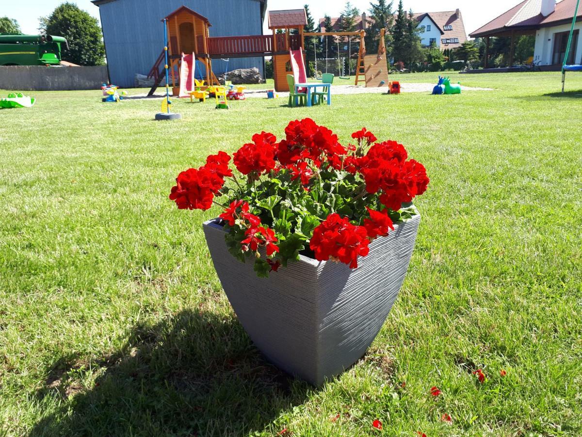Domki Letniskowe Rekinek Darlowo Exterior photo